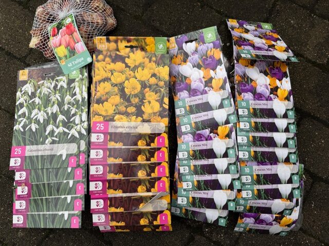 Poser med forskellige forårsløg