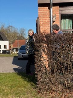 Forår